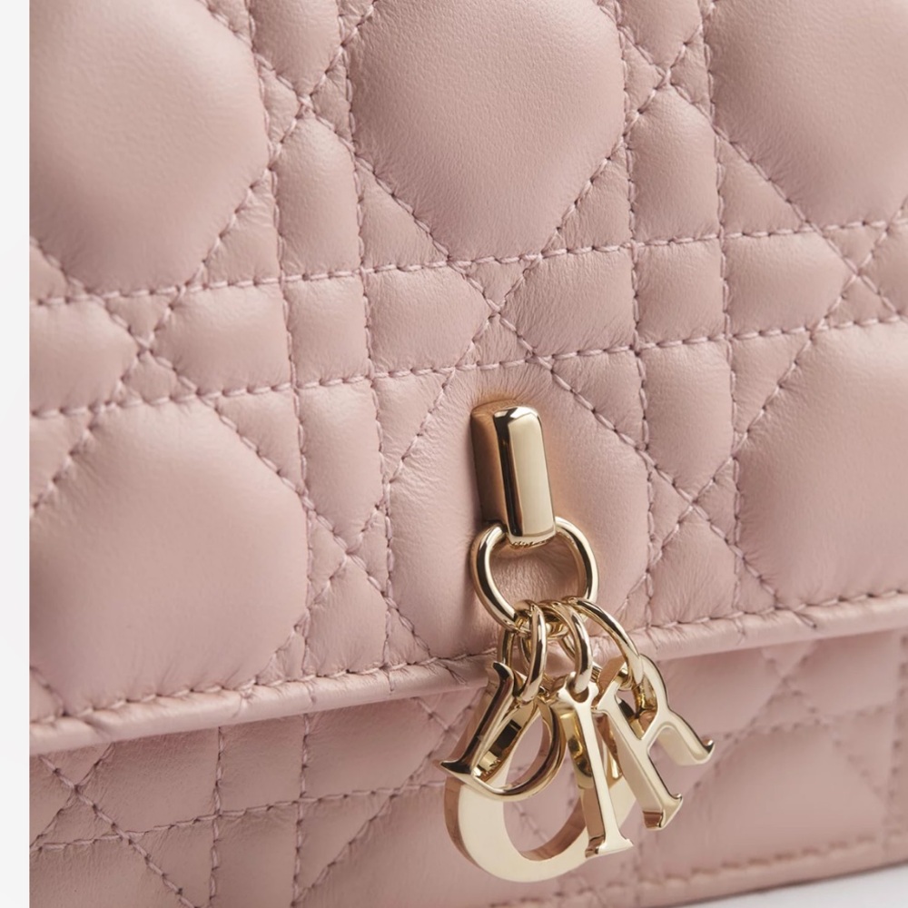 Dior Powder Pink Cannage Lambskin Bag - Picture 4 of 10